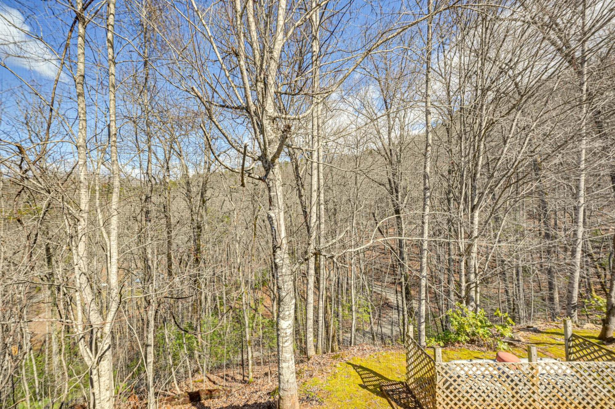 Bryson City Cabin With Hot Tub, Views And Pool Table! エクステリア 写真